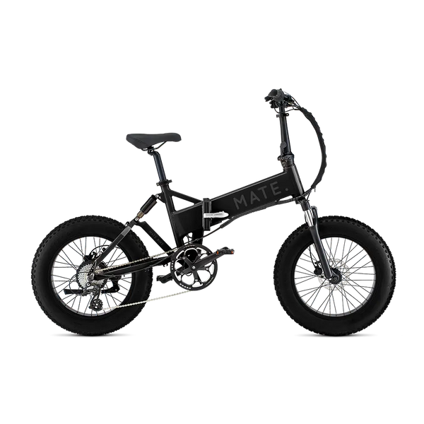 Mate x bike weight best sale
