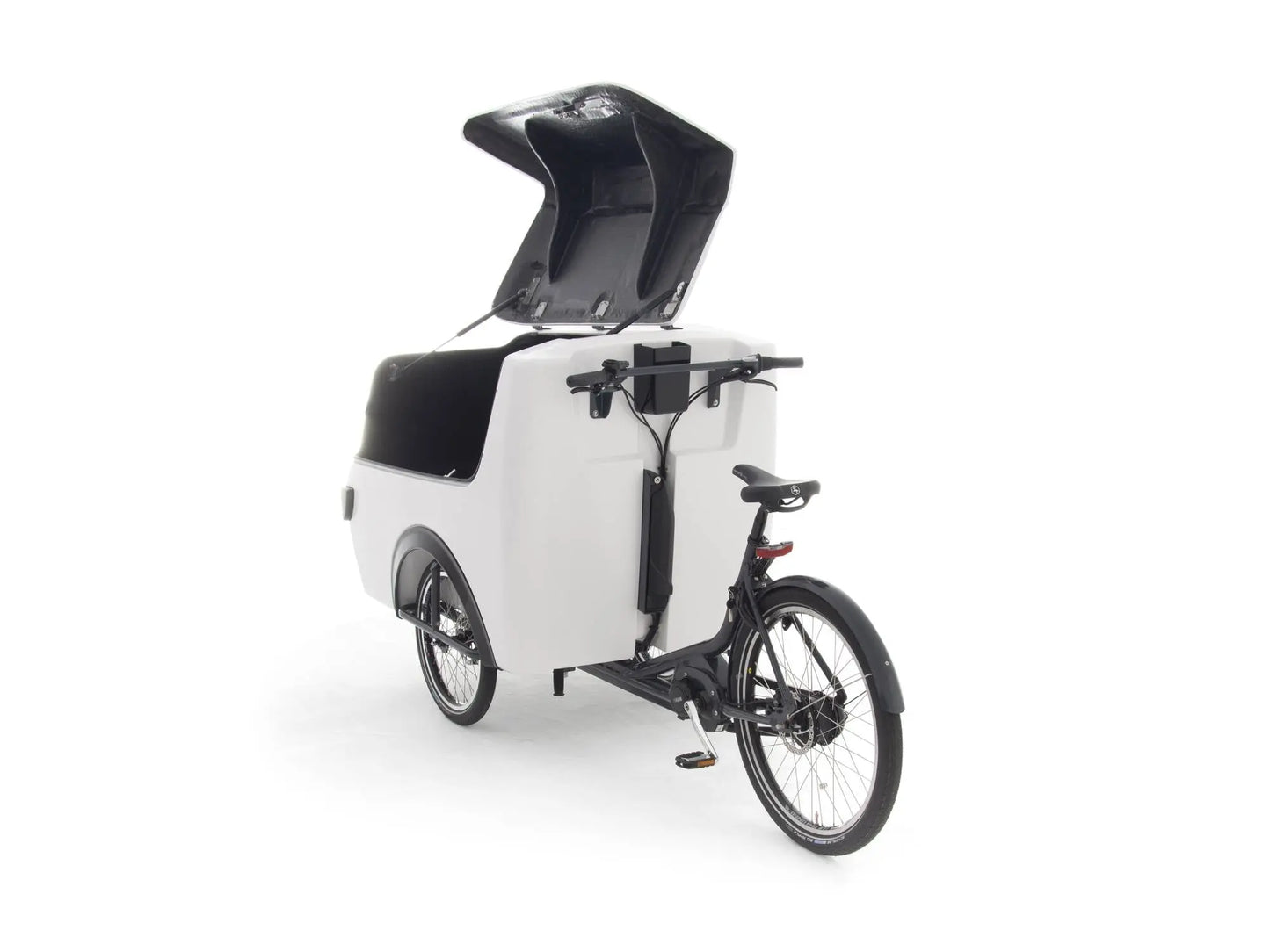 RALEIGH PRO ELECTRIC CARGO TRIKE